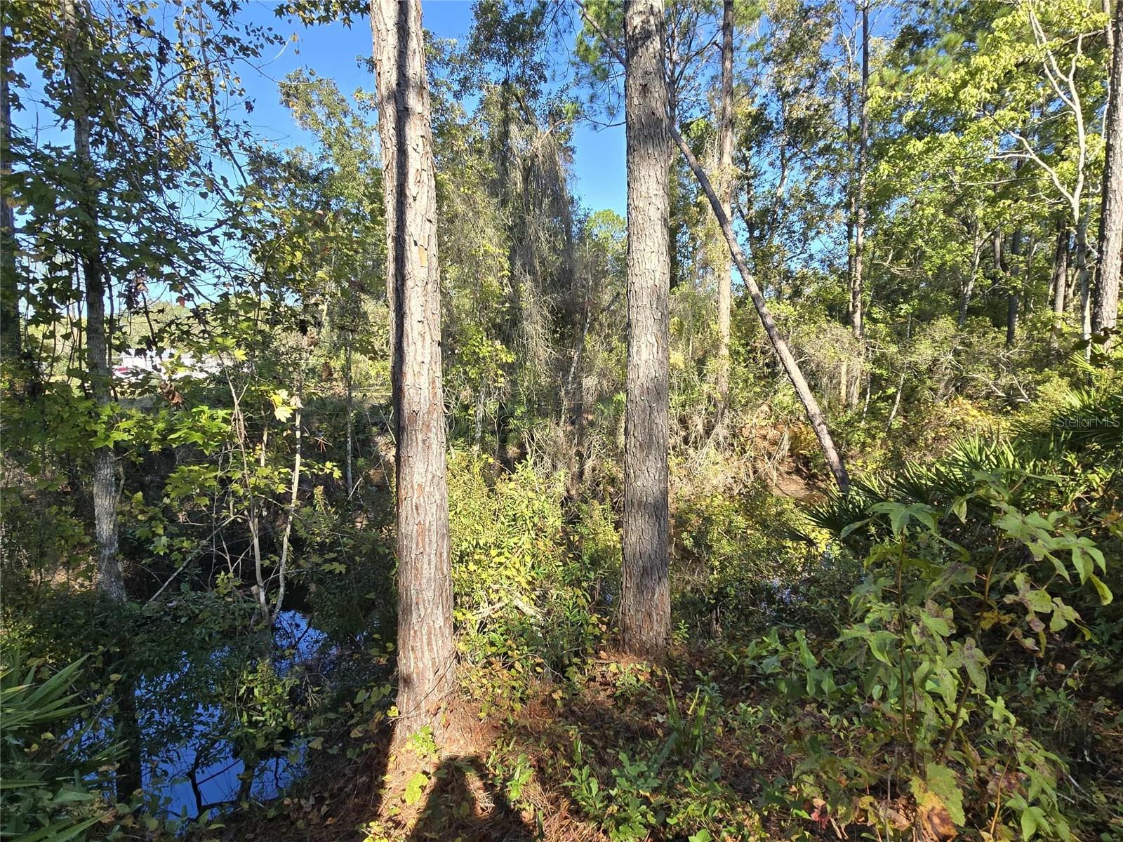 Image 31 of 36 For 112 Click Road