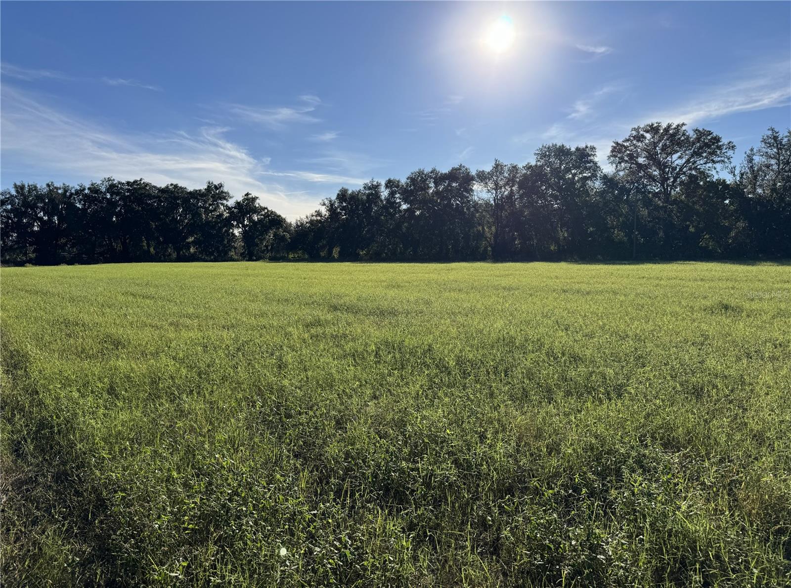 Image 3 of 3 For 23207 County Road 1474