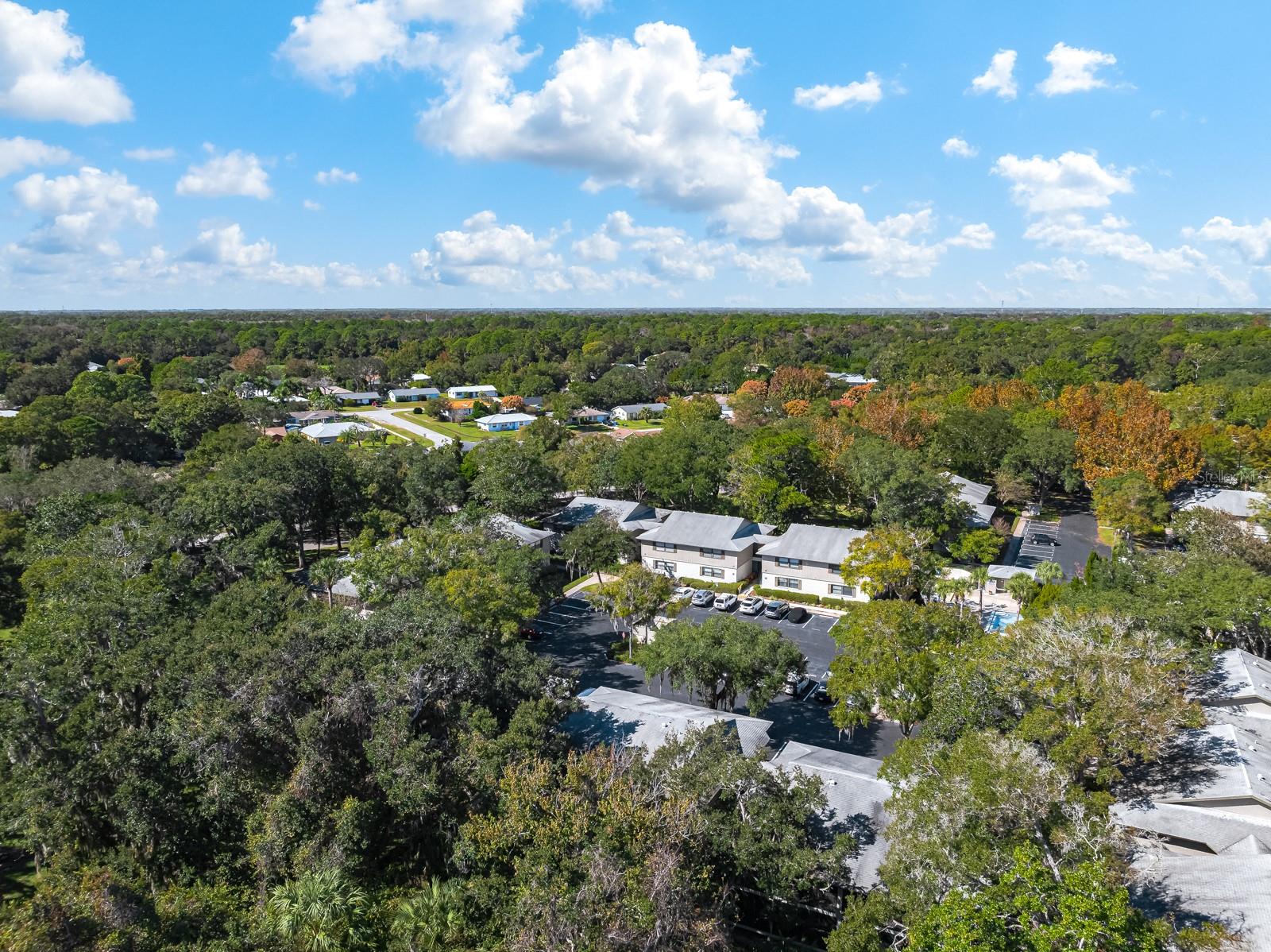 Image 39 of 51 For 37 Alcira Court 37