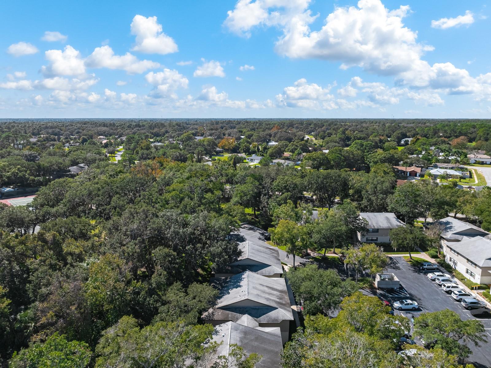 Image 40 of 51 For 37 Alcira Court 37