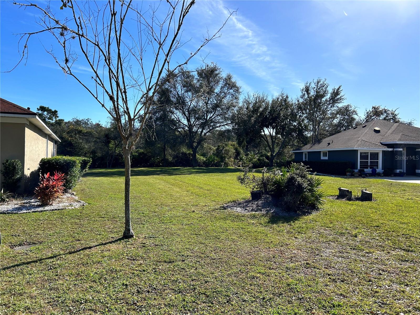 Image 7 of 8 For 27 Acclaim At Lionspaw