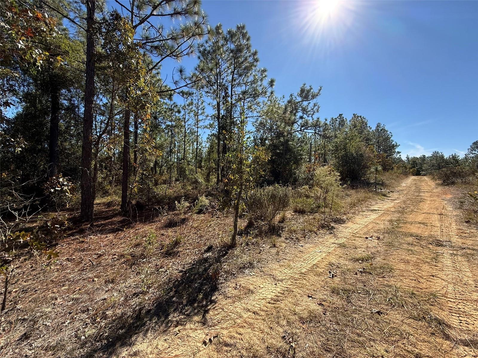 Image 3 of 9 For 00 Monroe