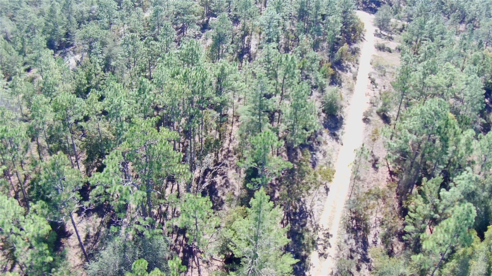 Image 4 of 9 For 00 Monroe