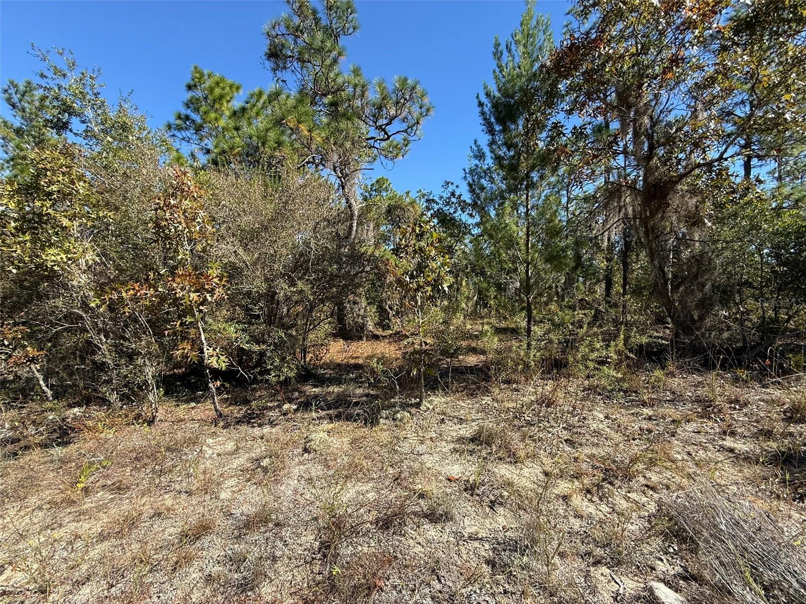 Image 5 of 9 For 00 Monroe