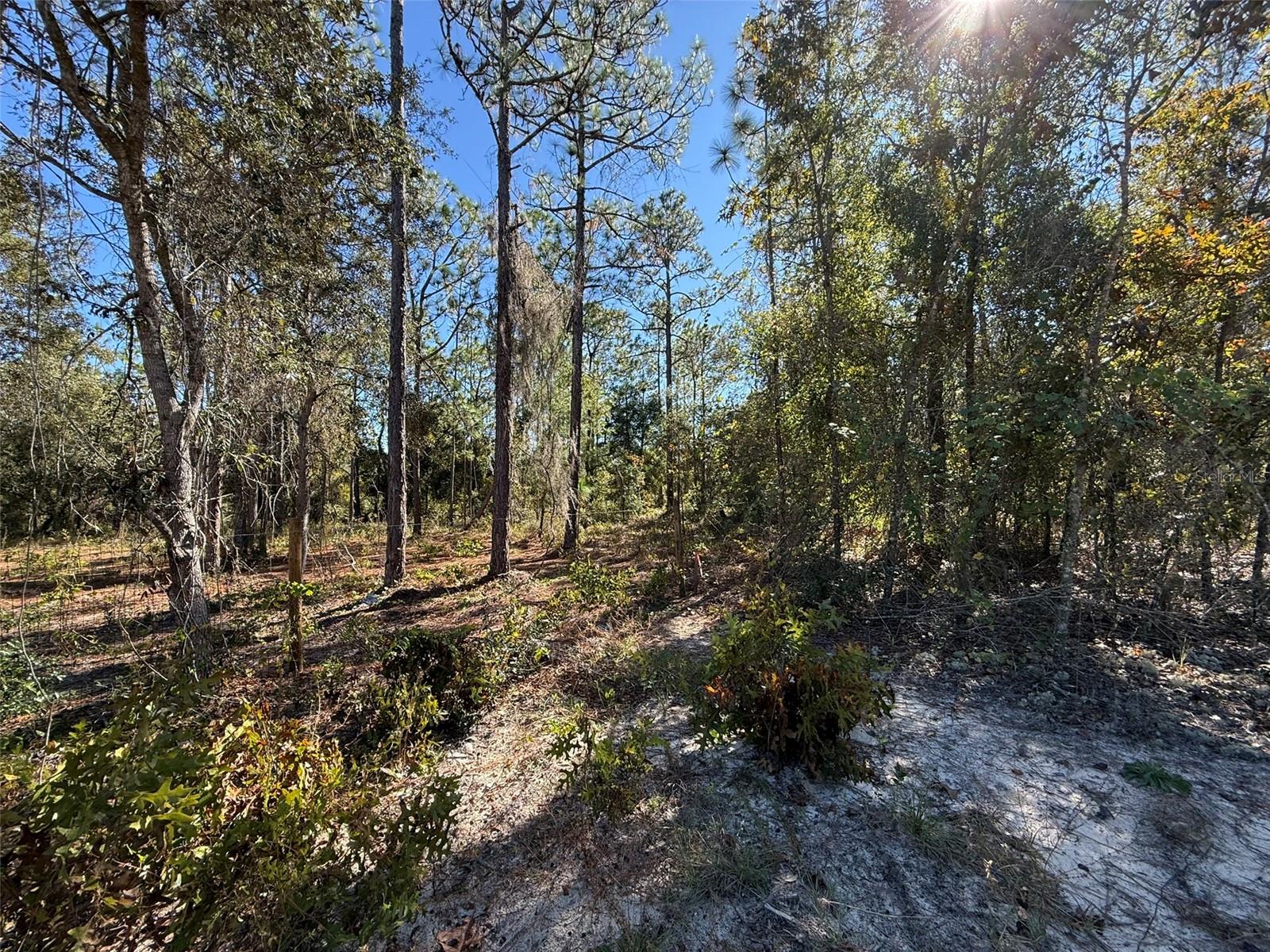 Image 6 of 9 For 00 Monroe