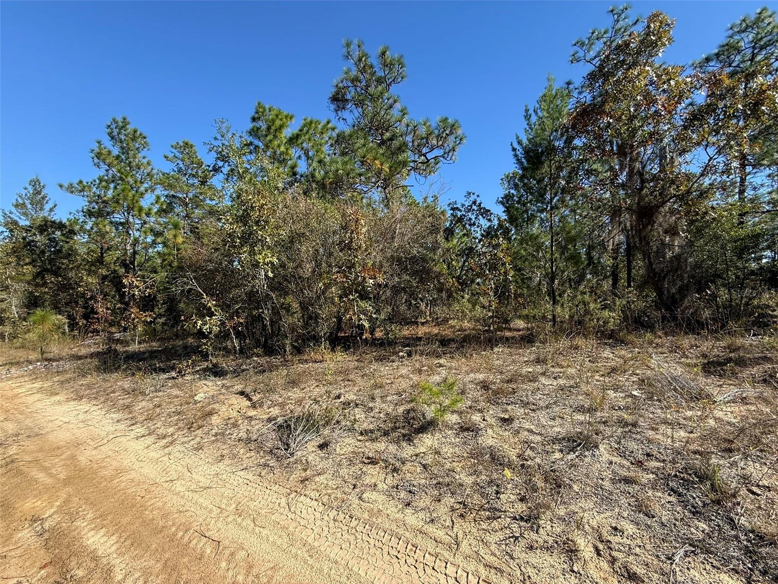 Image 7 of 9 For 00 Monroe