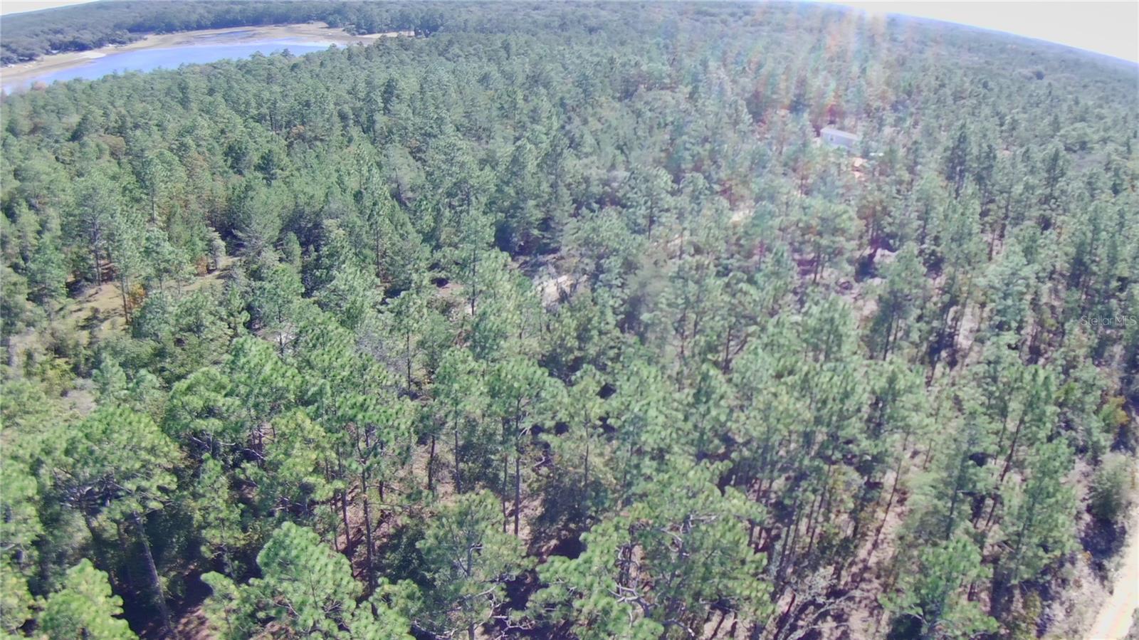 Image 8 of 9 For 00 Monroe