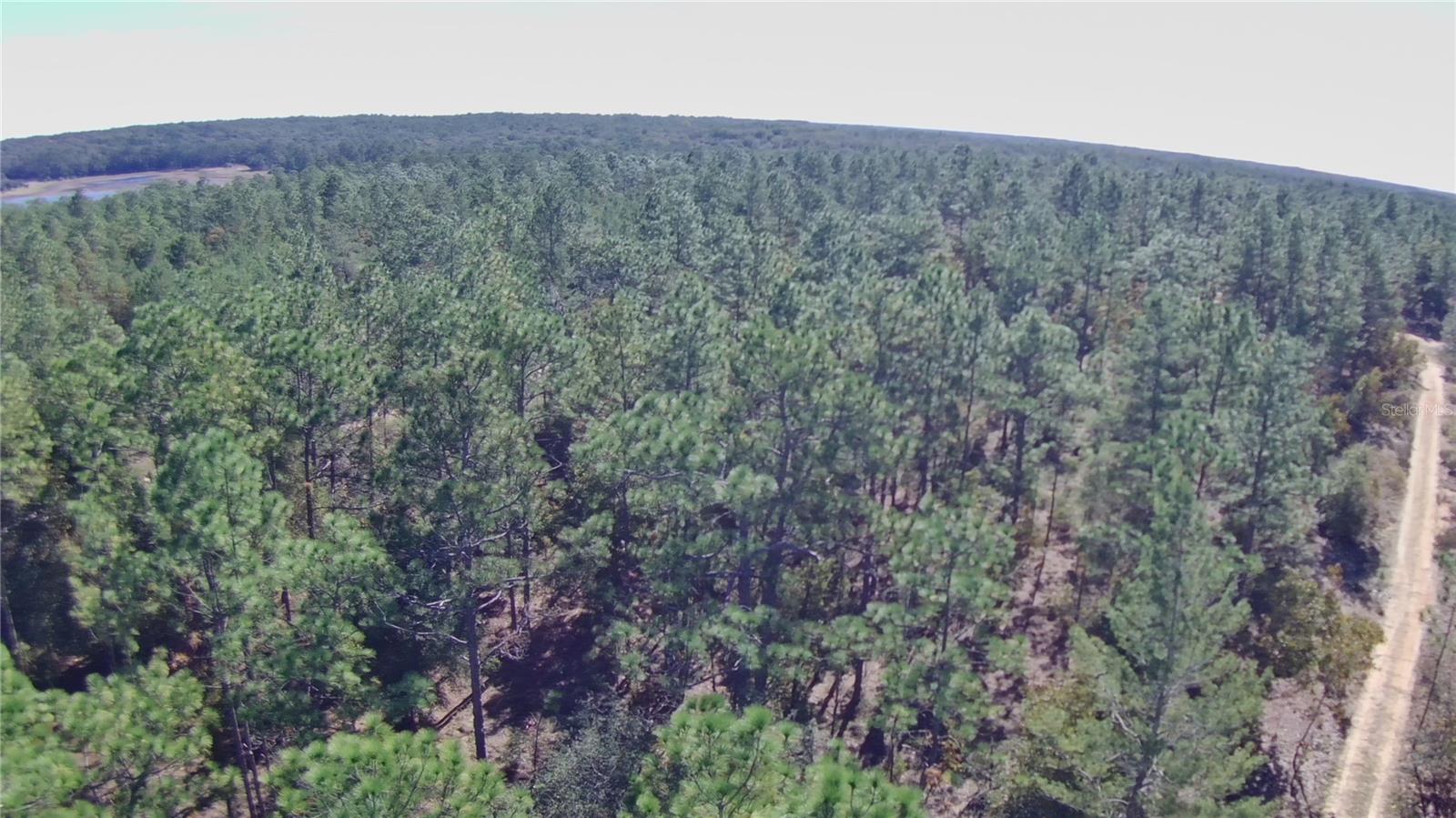 Image 9 of 9 For 00 Monroe