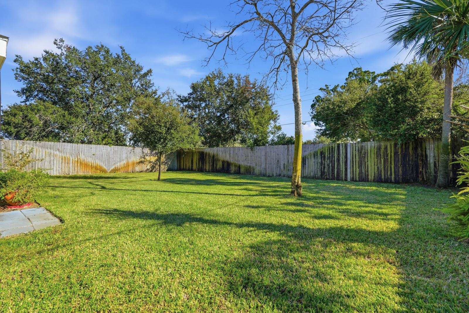 Image 18 of 22 For 1331 Eugene Black Street