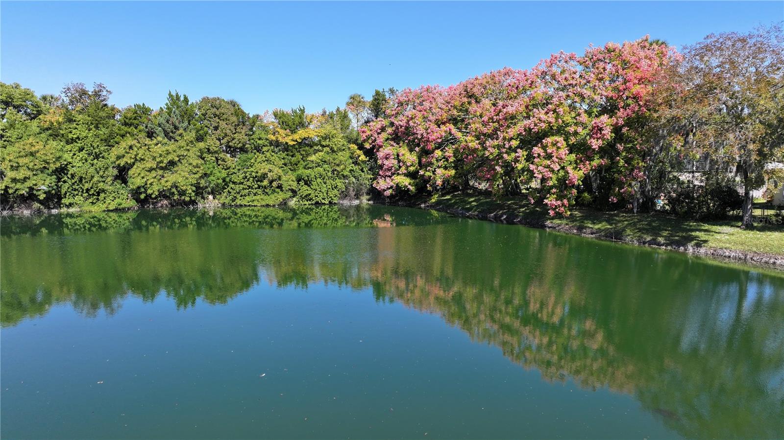 Image 7 of 93 For 1031 Grand Hickory Circle