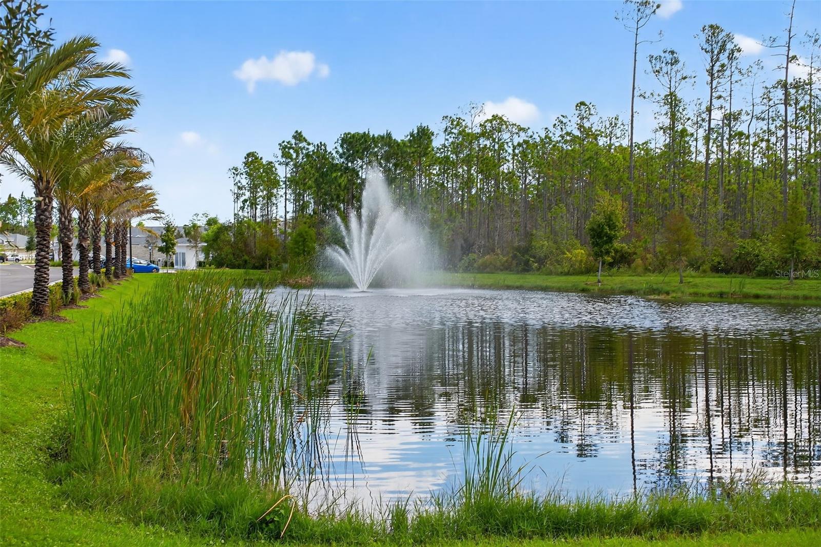 Image 41 of 54 For 469 Bulldog Drive 2