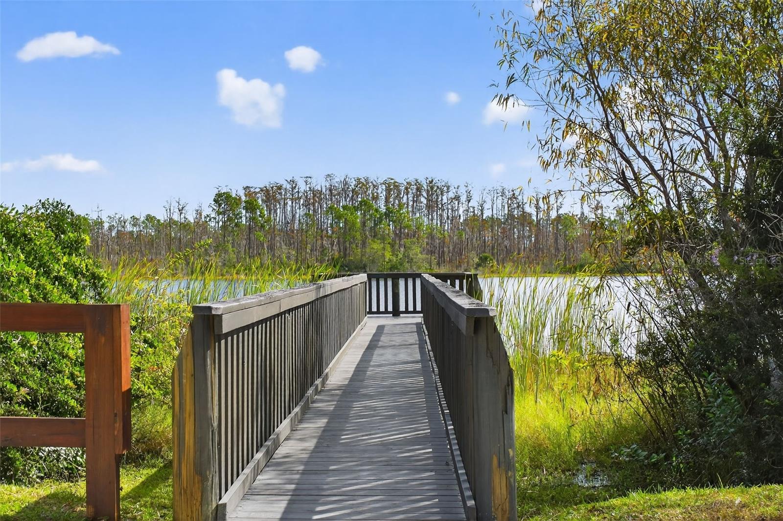 Image 39 of 54 For 469 Bulldog Drive 4