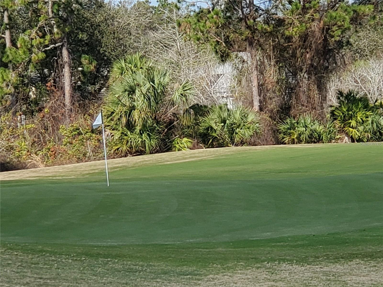 Image 14 of 30 For 2 Blue Oak Lane