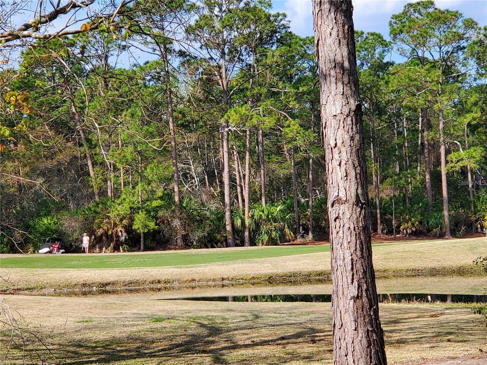 Image 15 of 30 For 2 Blue Oak Lane