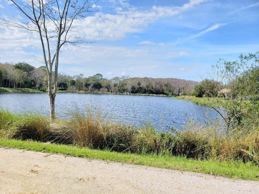 Image 6 of 30 For 2 Blue Oak Lane