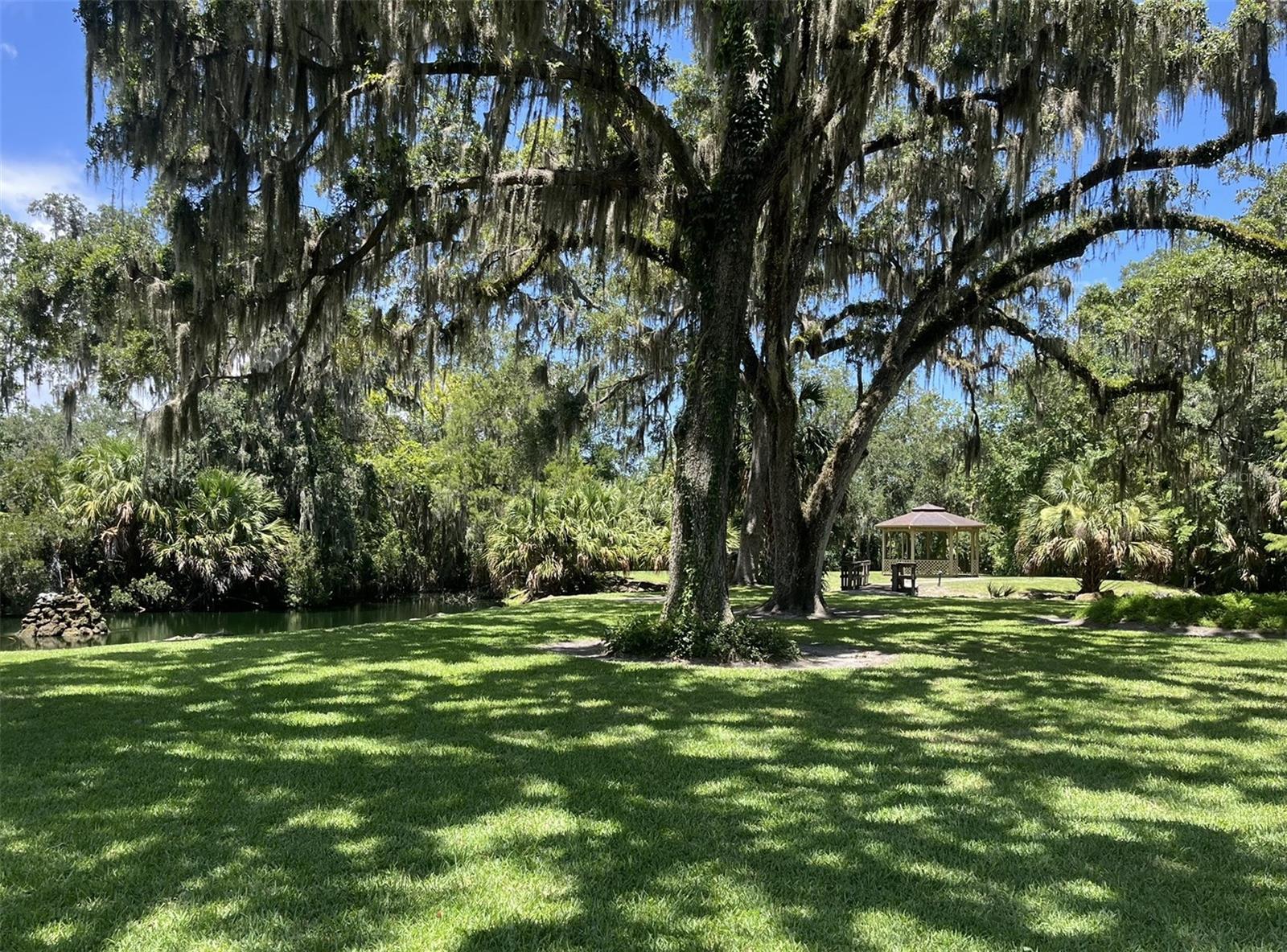 Image 16 of 26 For 308 Palm Coast Parkway Ne 203