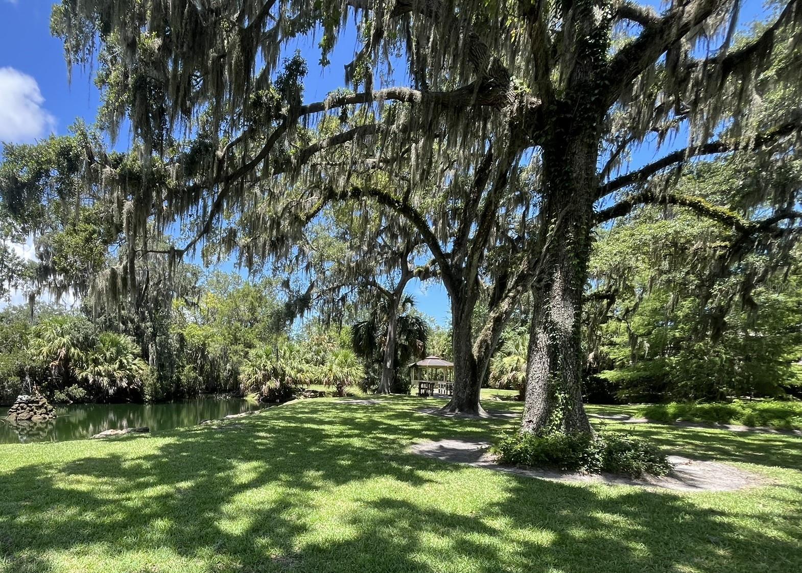 Image 17 of 26 For 308 Palm Coast Parkway Ne 203