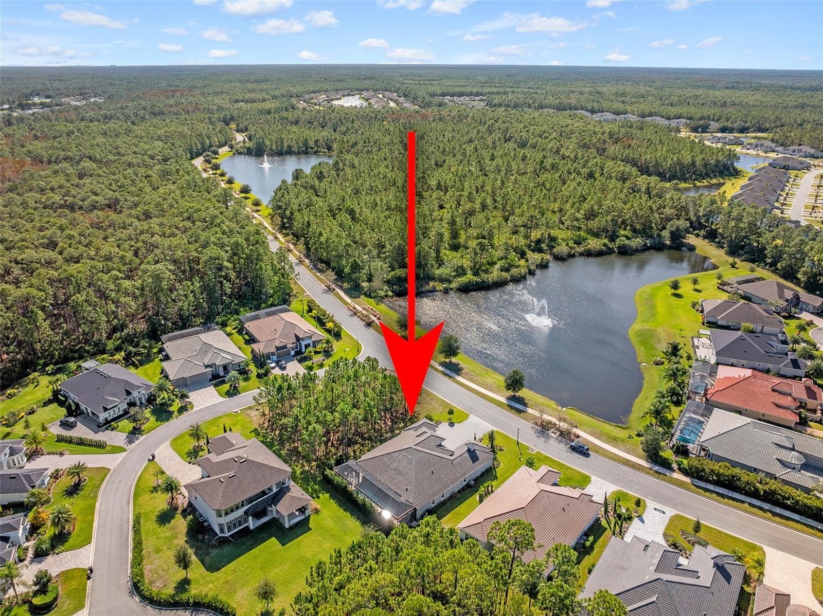 Image 76 of 100 For 252 Stirling Bridge Drive