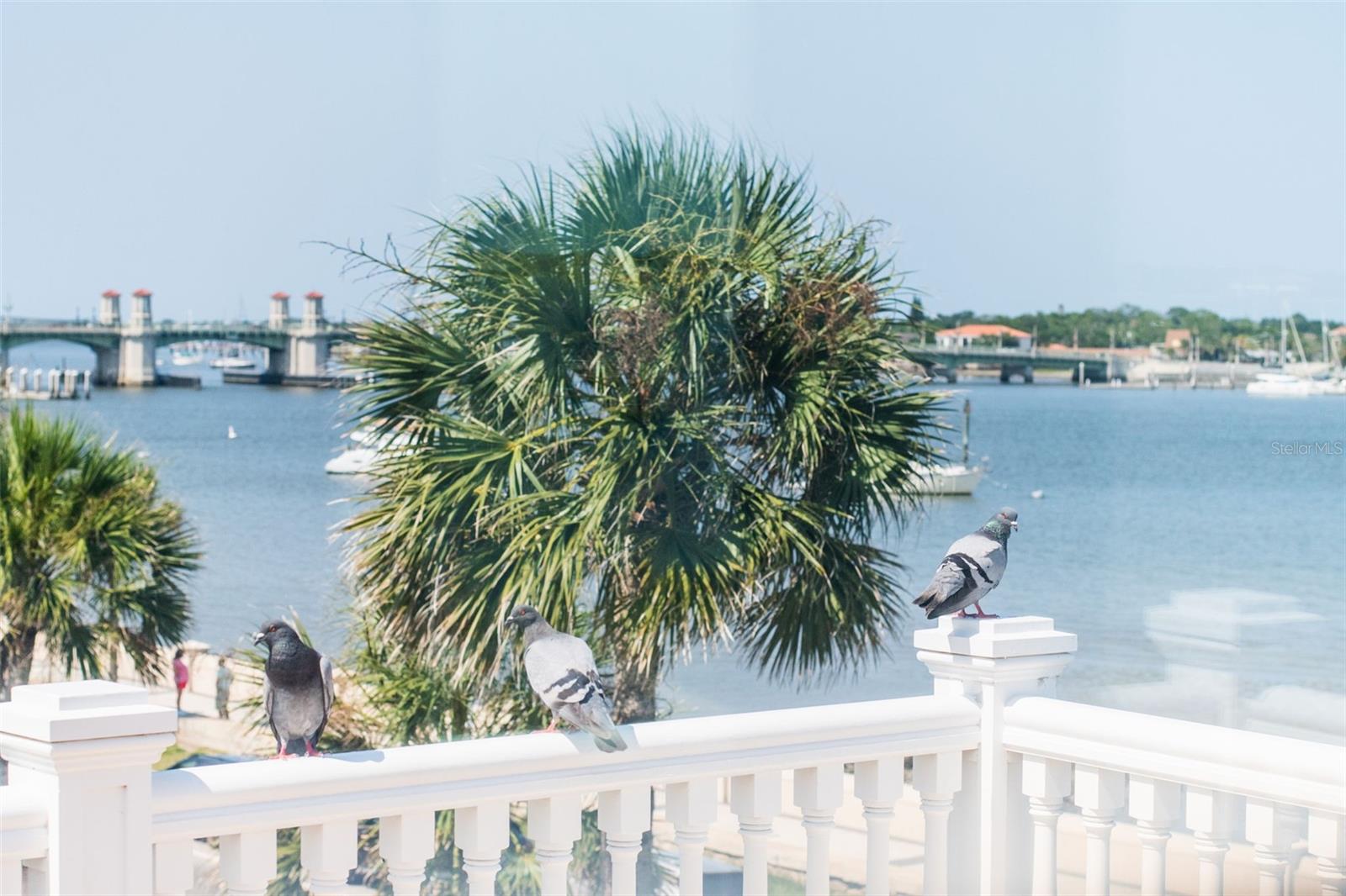 Image 84 of 93 For 178 Avenida Menendez