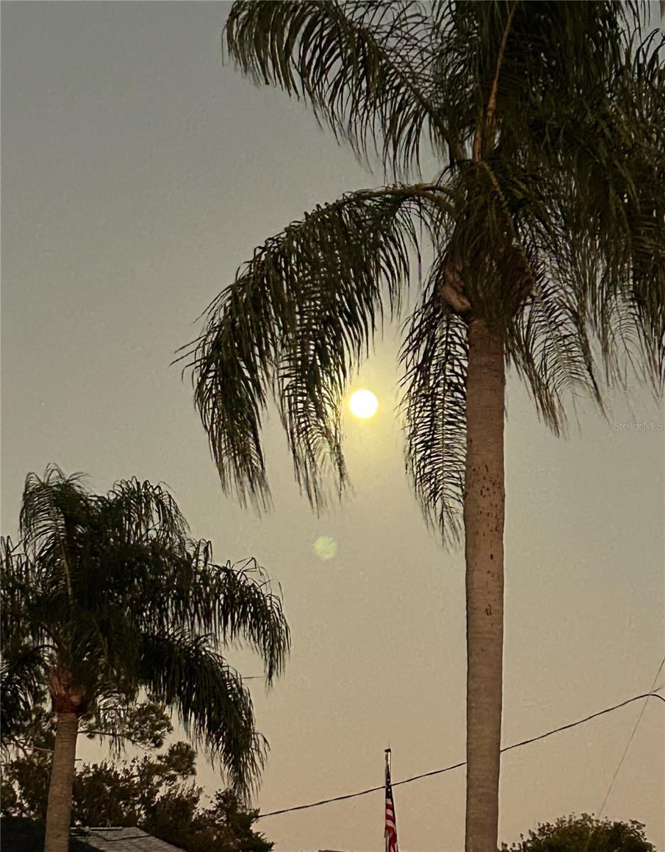 Image 24 of 34 For 126 Bayside Drive