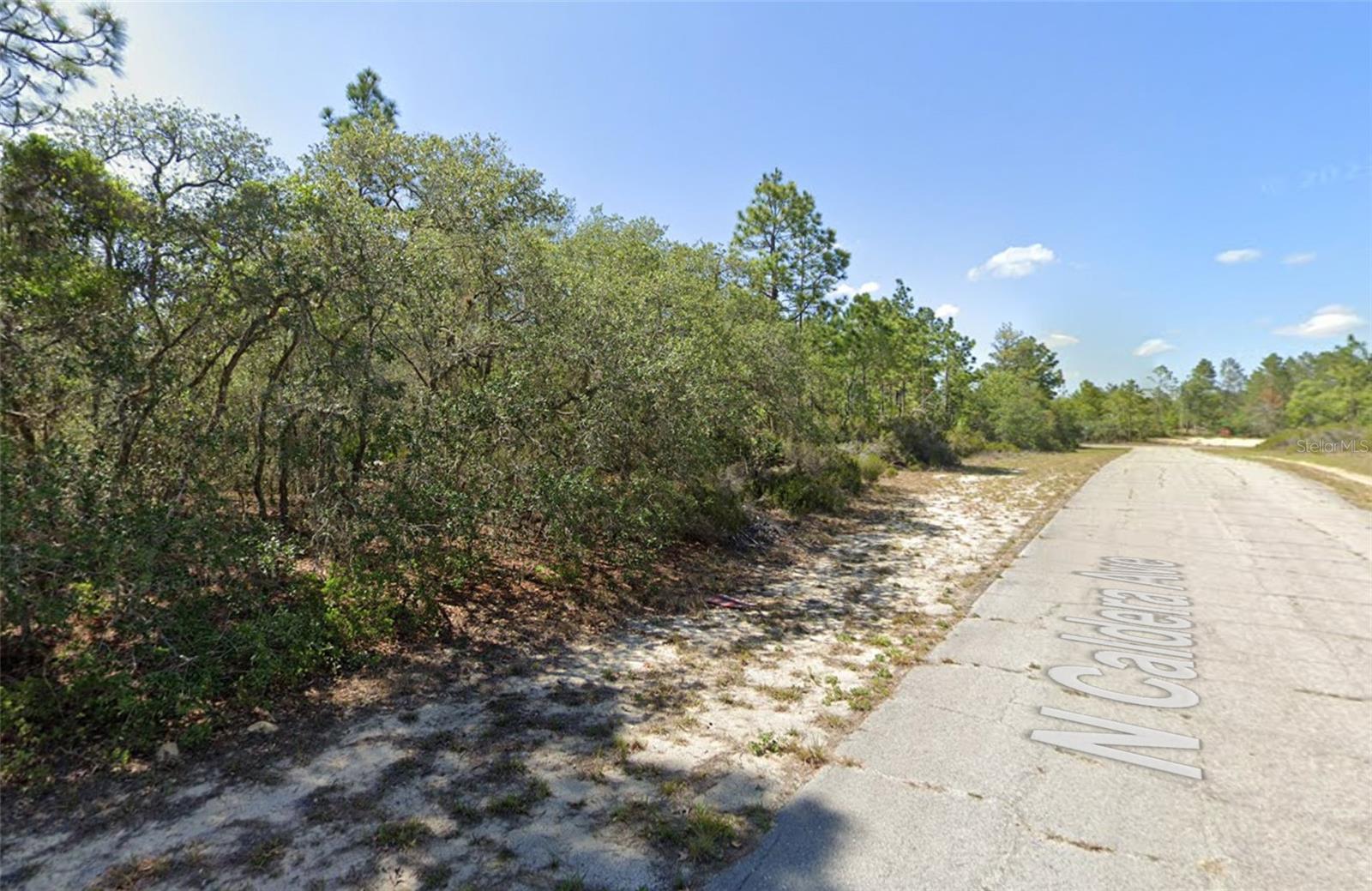 Listing photo id 0 for 10660 Caldera Avenue