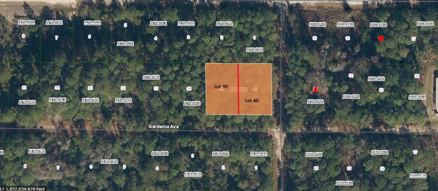 Image 2 of 6 For 336 Gardenia Avenue