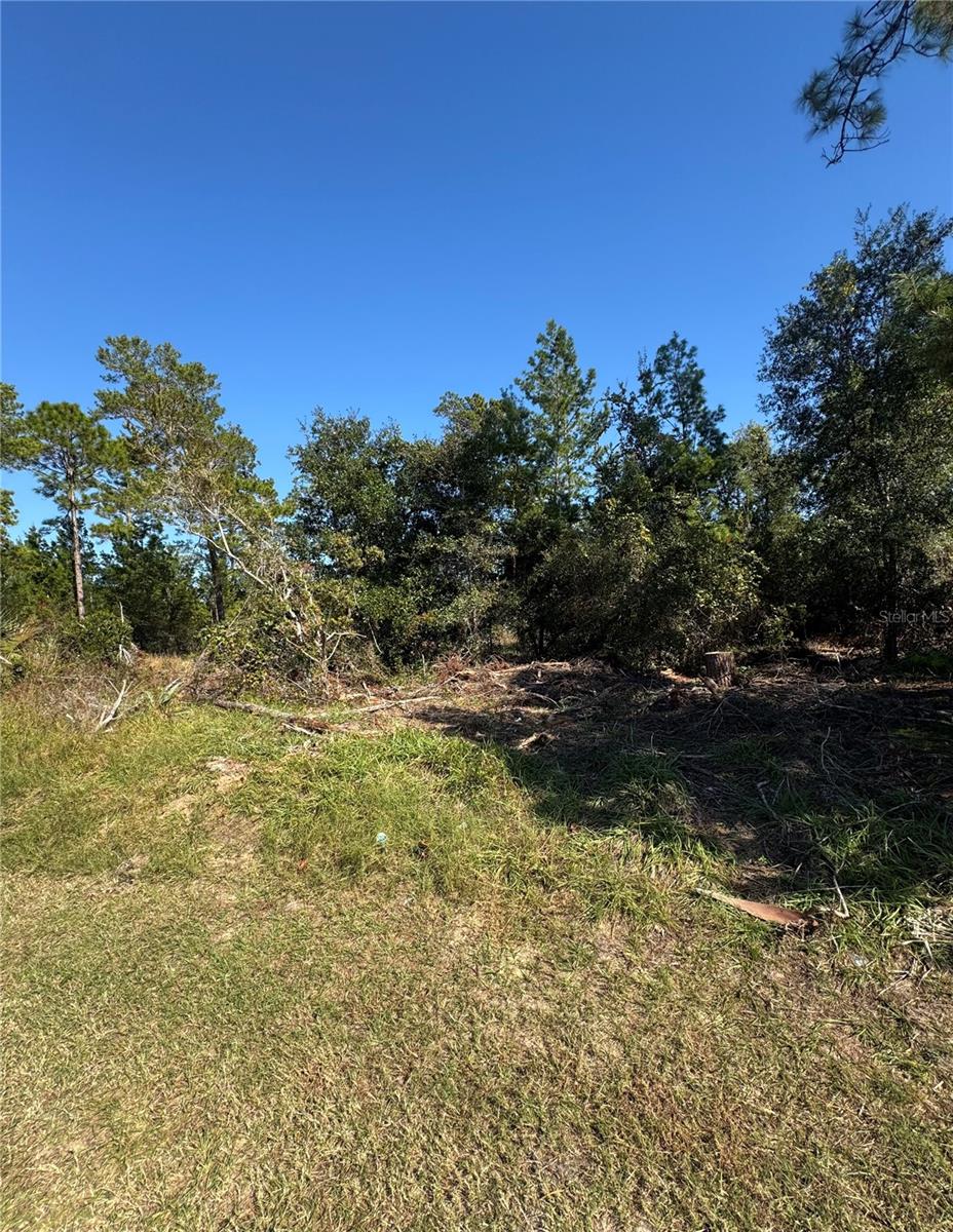 Details for 19 Freeport Lane, PALM COAST, FL 32137