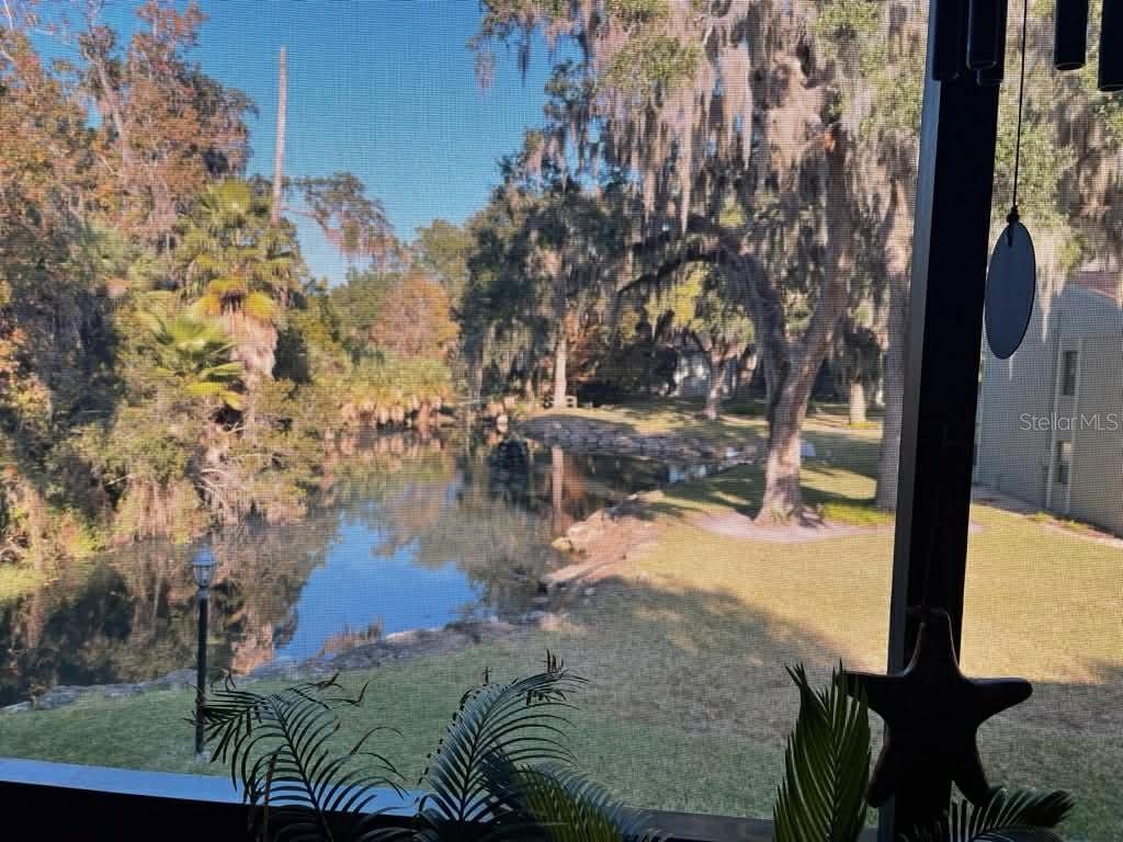 Image 2 of 34 For 310 Palm Coast Parkway 203