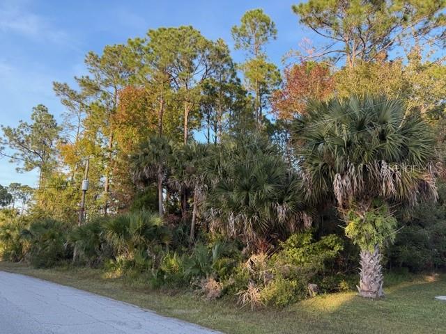 Details for 11 Pinelark Lane, PALM COAST, FL 32164