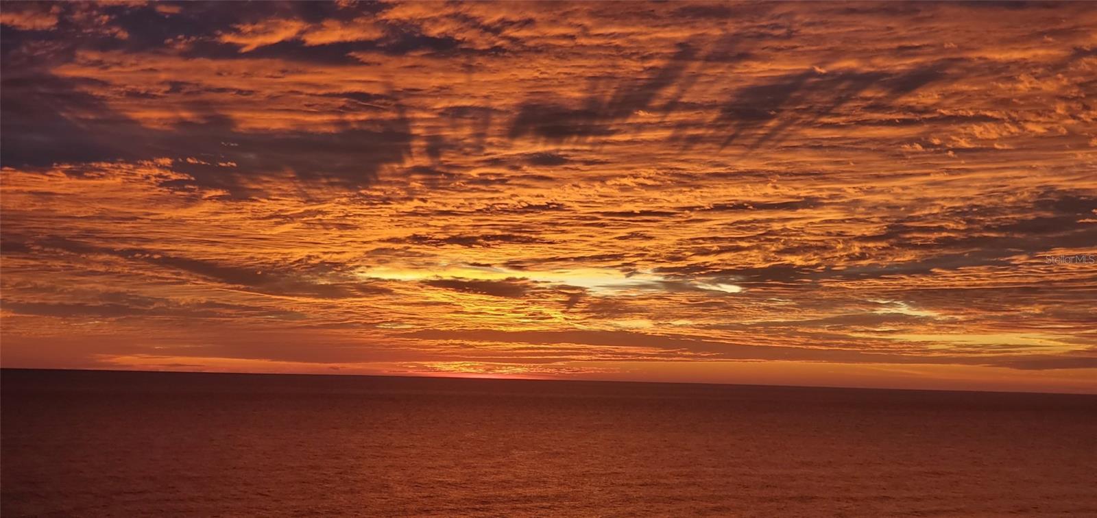 Image 34 of 49 For 1601 Central Avenue 1002