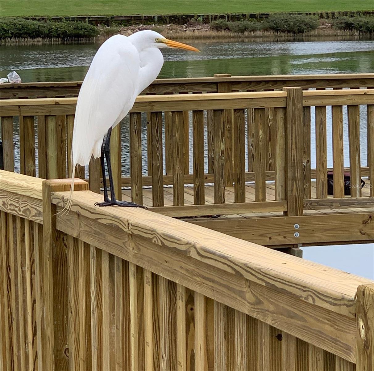 Image 32 of 49 For 35 Riverview Bend S 1825