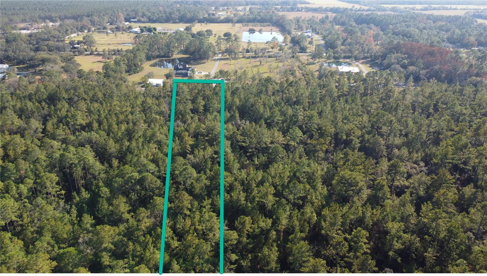 Image 4 of 6 For 4619 State Hwy 100 W