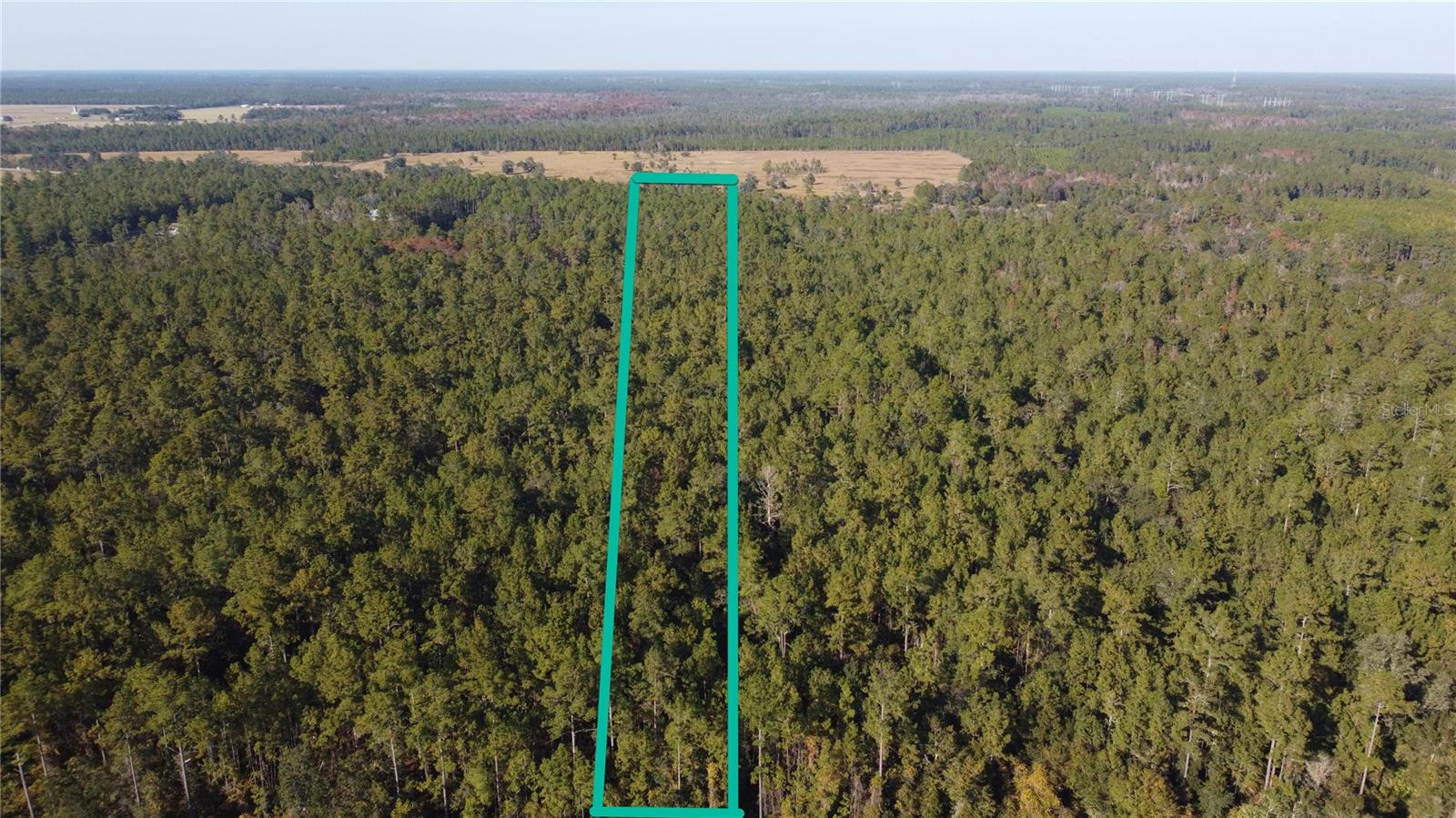 Image 5 of 6 For 4619 State Hwy 100 W