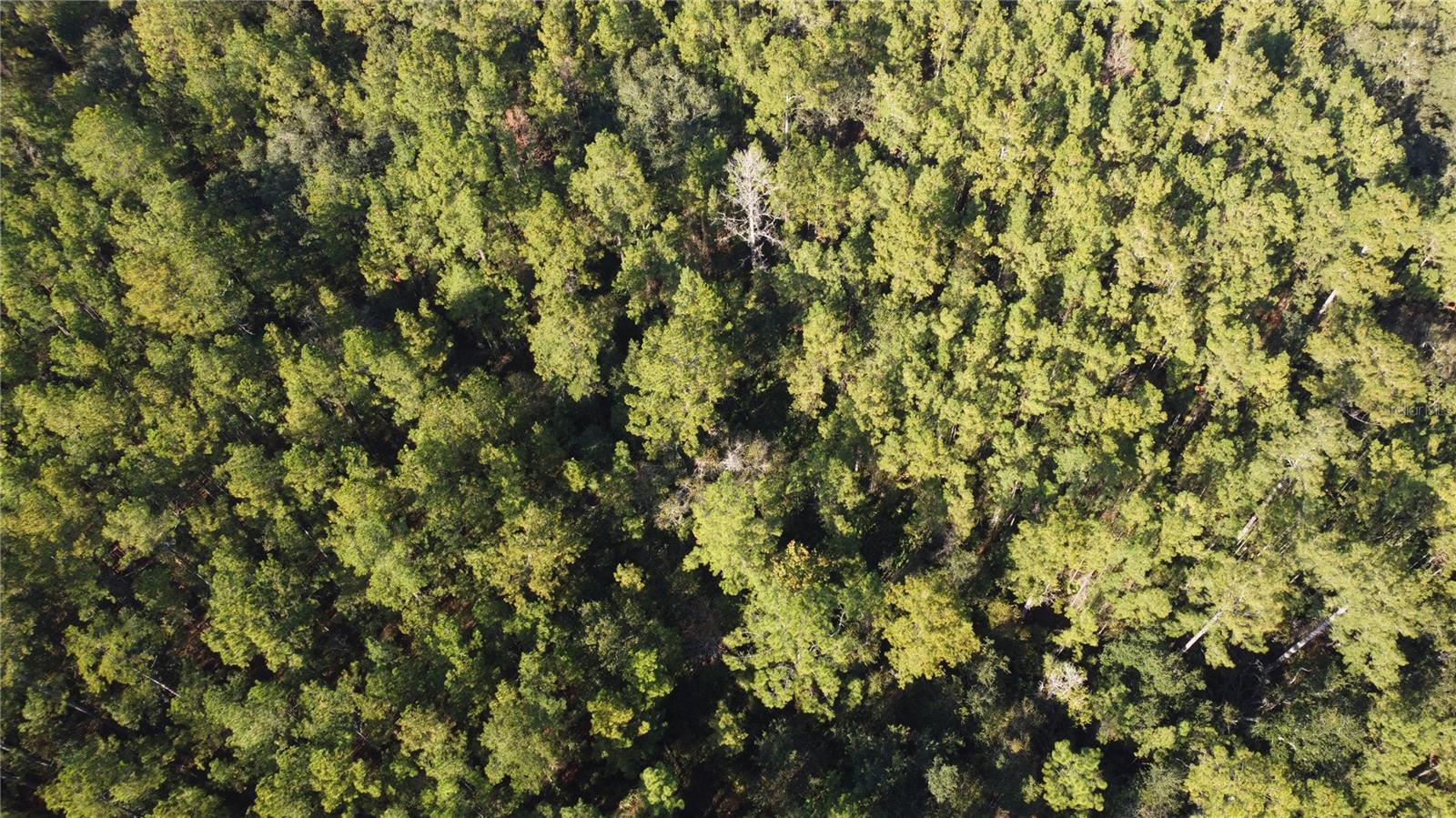 Image 6 of 6 For 4619 State Hwy 100 W