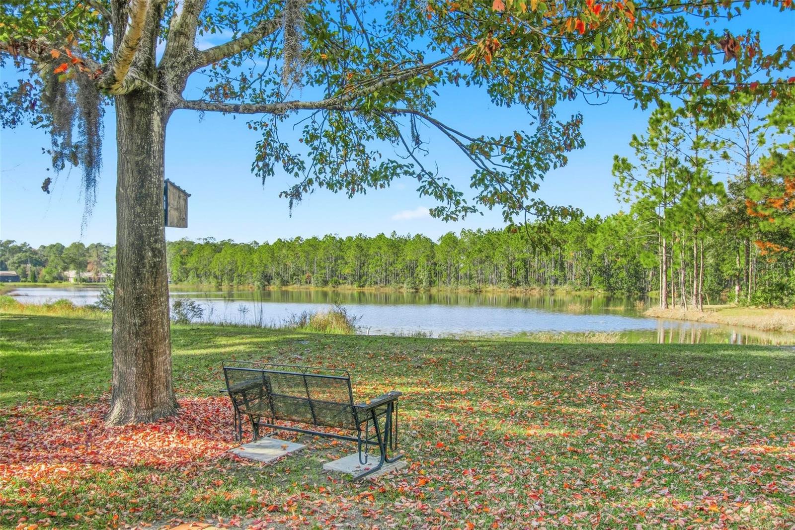 Image 50 of 56 For 928 Gallberry Court