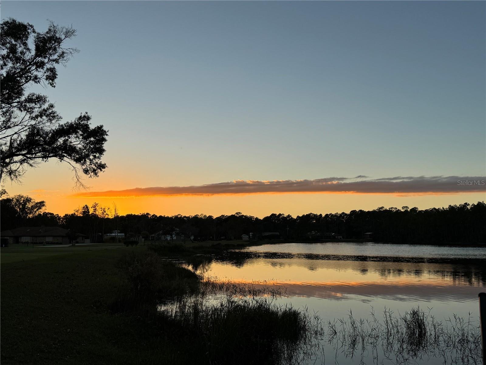 Image 54 of 56 For 928 Gallberry Court