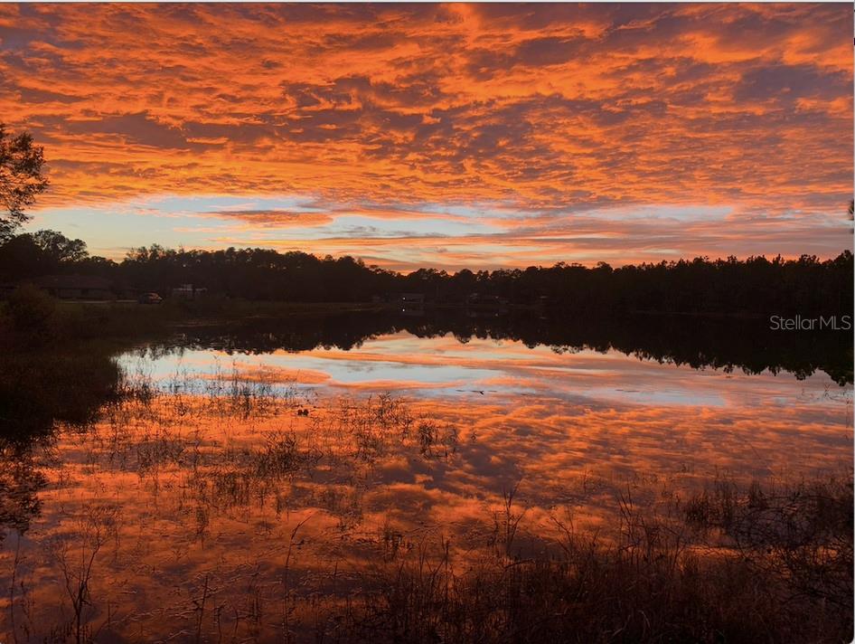 Image 55 of 56 For 928 Gallberry Court