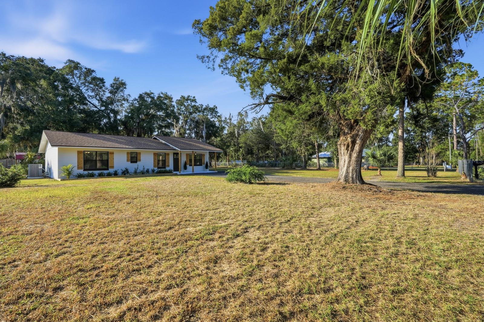 Image 40 of 49 For 341 Alabama Avenue