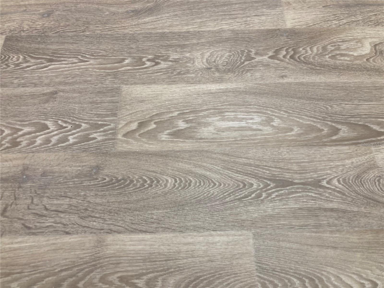 Image 24 of 83 For 280 Last Mango