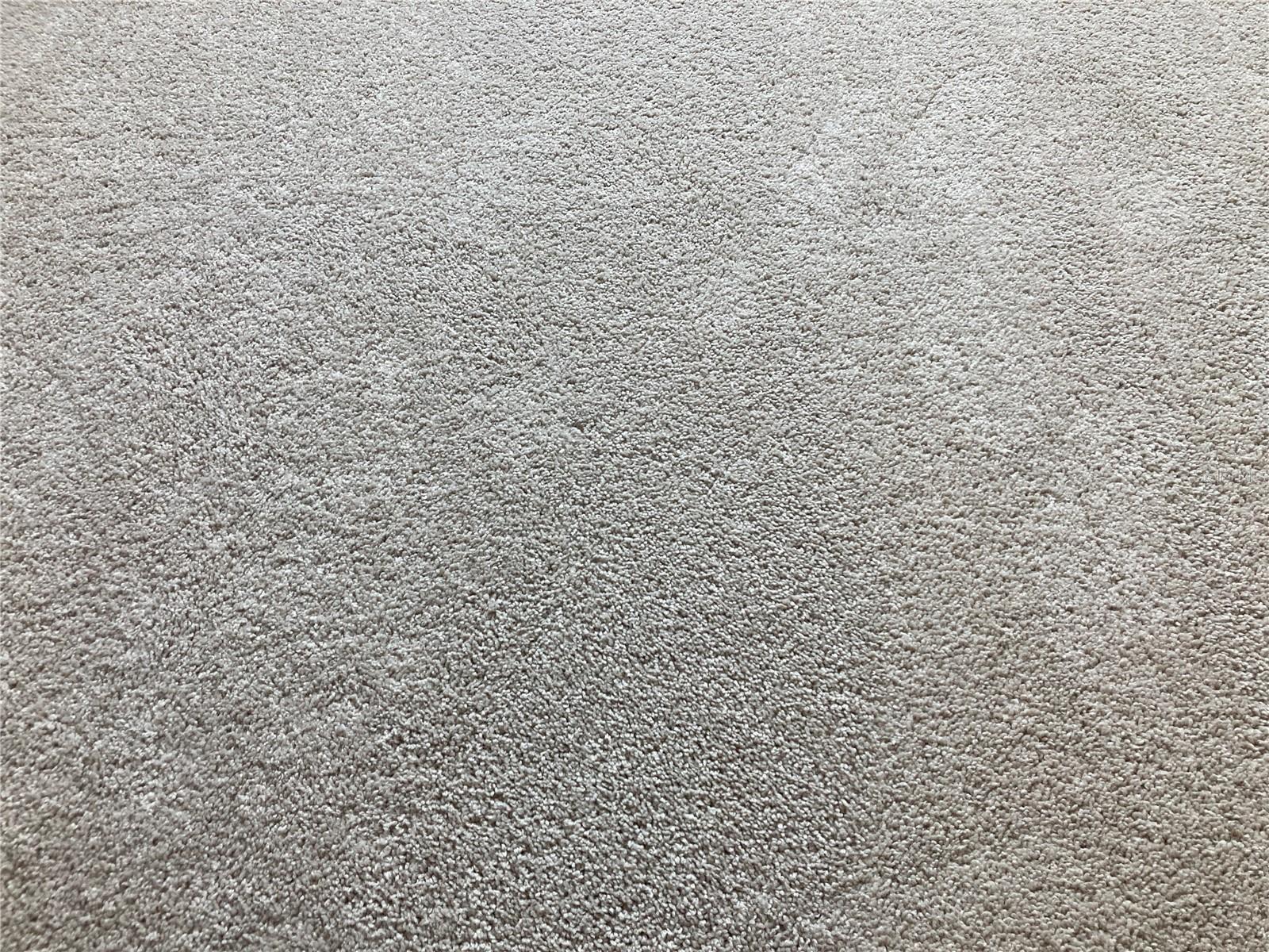 Image 36 of 83 For 280 Last Mango