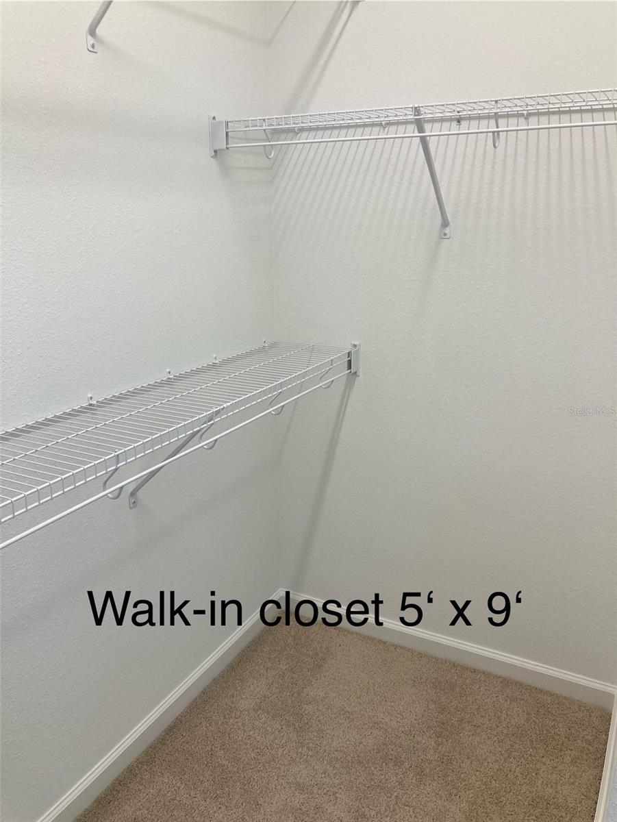 Image 44 of 83 For 280 Last Mango