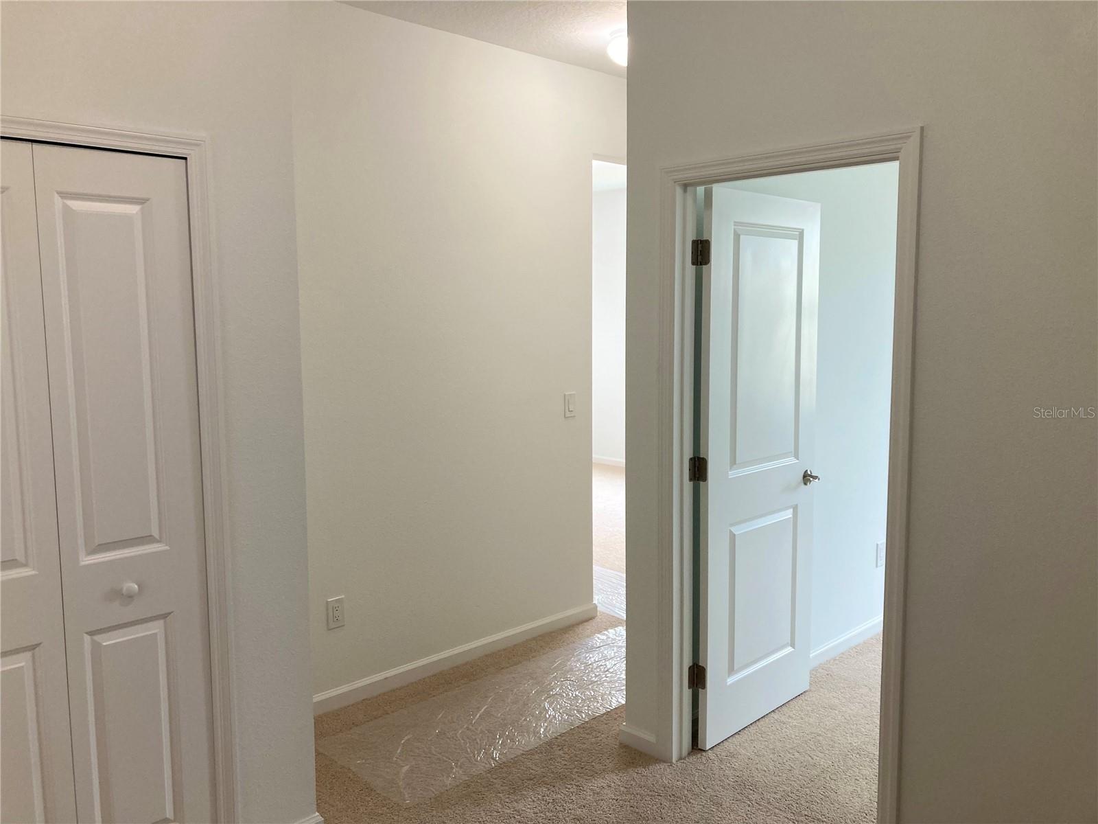 Image 46 of 83 For 280 Last Mango