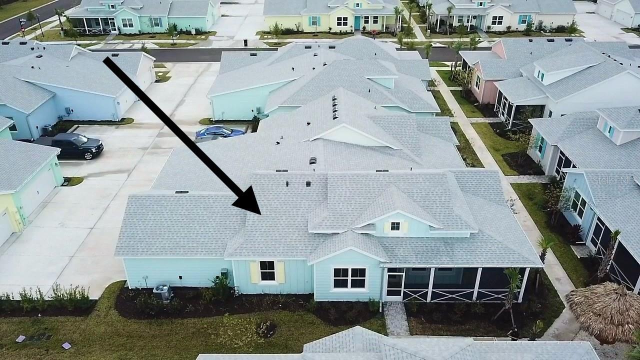 Image 5 of 83 For 280 Last Mango