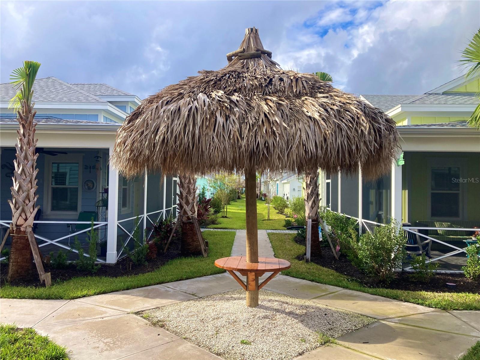 Image 69 of 83 For 280 Last Mango