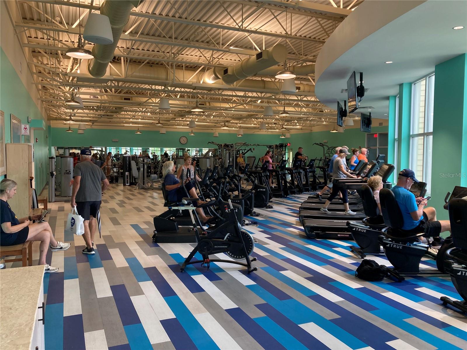 Image 77 of 83 For 280 Last Mango