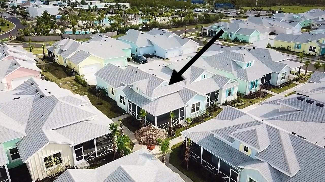 Image 8 of 83 For 280 Last Mango