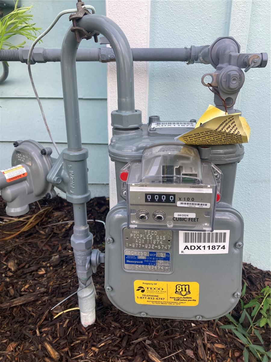 Image 81 of 83 For 280 Last Mango