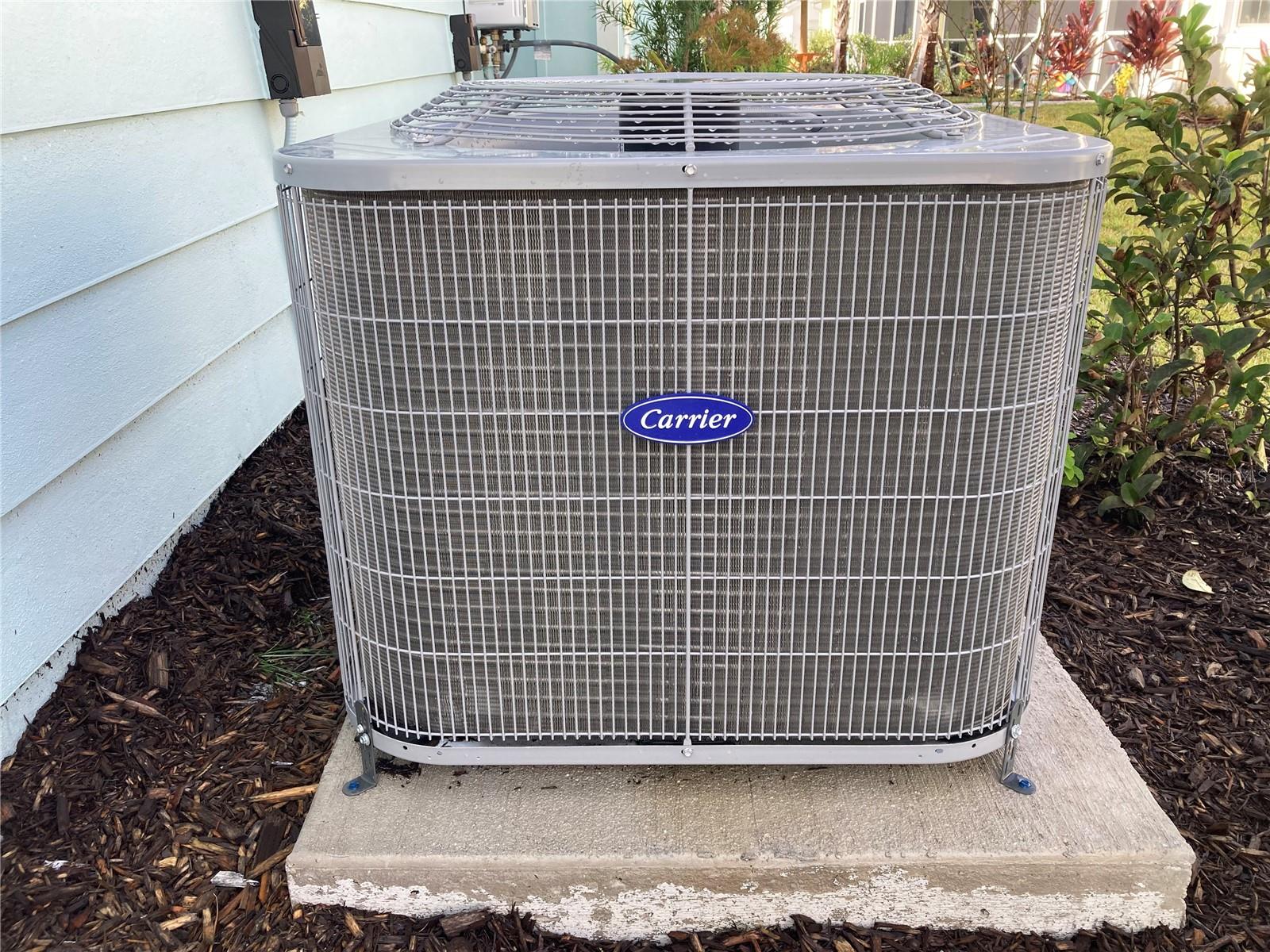 Image 82 of 83 For 280 Last Mango