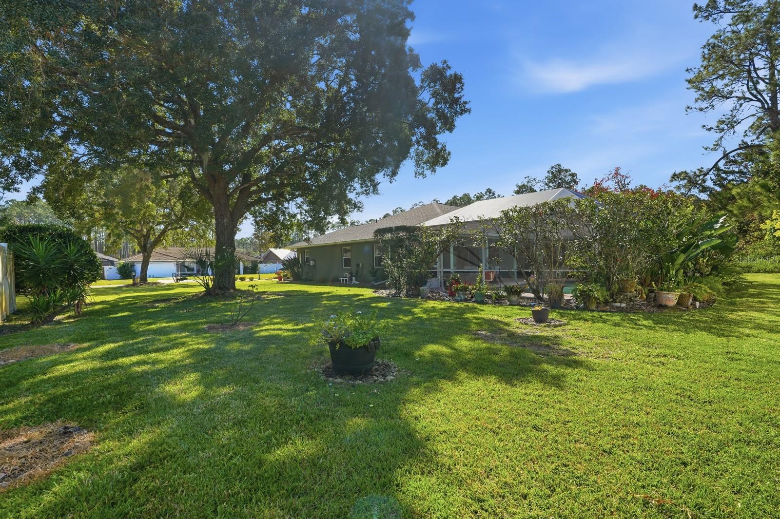 Image 49 of 49 For 33 Poinsettia Lane