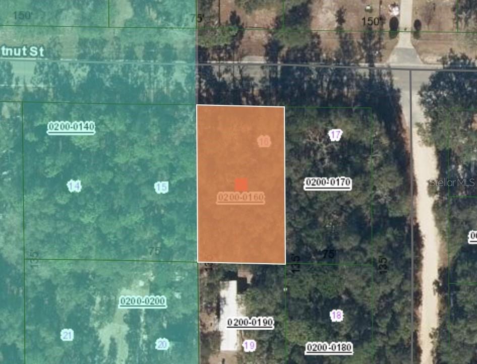 Details for 113 Chestnut Street, INTERLACHEN, FL 32148